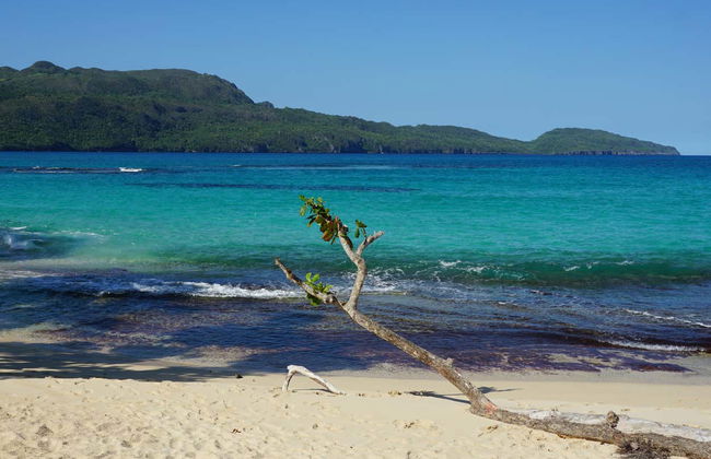 Tour por las 7 playas de Samaná - Foto 5