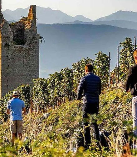 Foto - Tour de segway por Chignin + Degustação de vinhos
