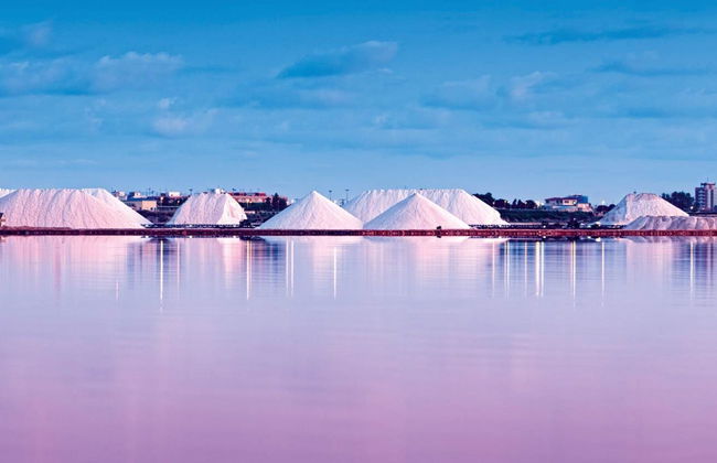 Visita guiada por las salinas de Torrevieja - Foto 8