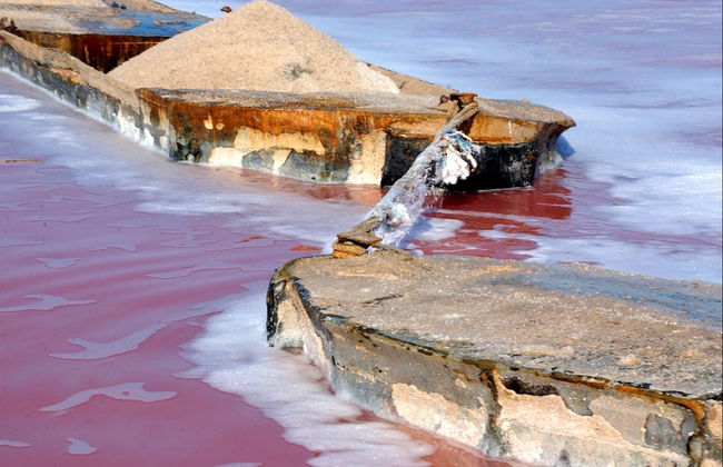 Visita guiada por las salinas de Torrevieja - Foto 7