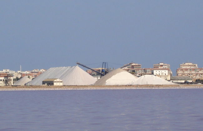 Visita guiada por las salinas de Torrevieja - Foto 4