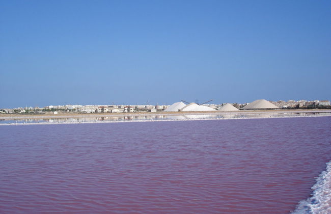 Visita guiada por las salinas de Torrevieja - Foto 3