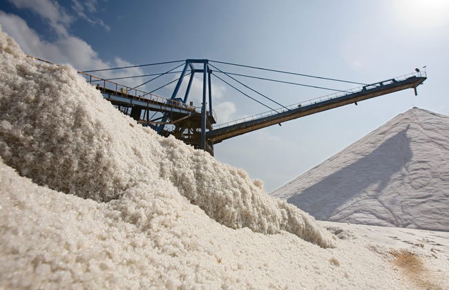 Visita guiada por las salinas de Torrevieja - Foto 5
