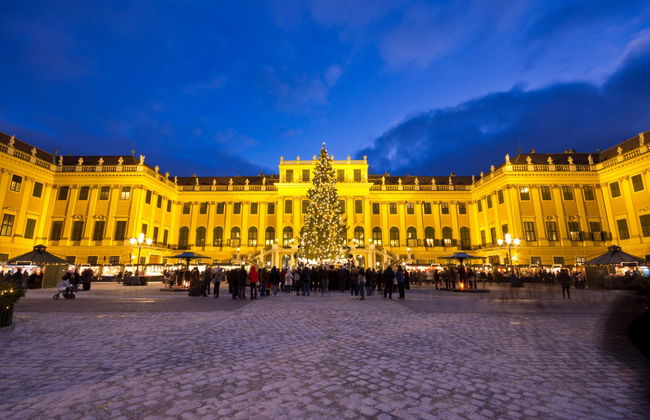 Concierto de Navidad en el Palacio Schönbrunn - Foto 6