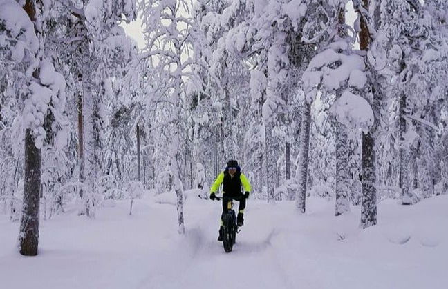 Noleggio fat bike a Kuusa - Foto 3