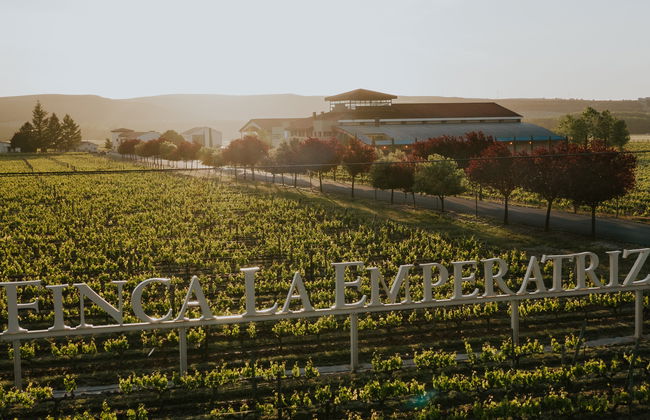 Visita al viñedo de la Finca La Emperatriz - Foto 7