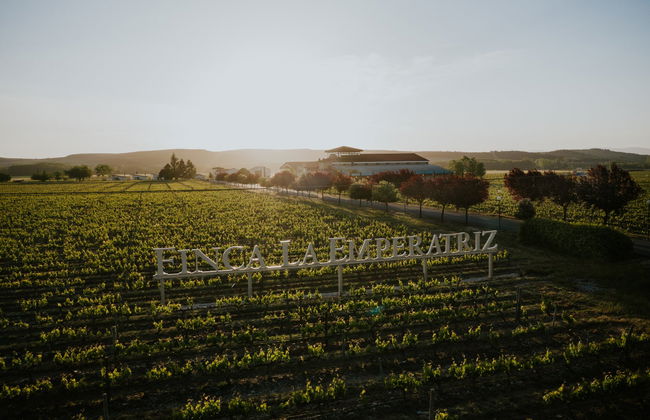 Visita al viñedo de la Finca La Emperatriz - Foto 6