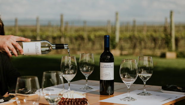 Tour in Baños de Rioja - Photo 2