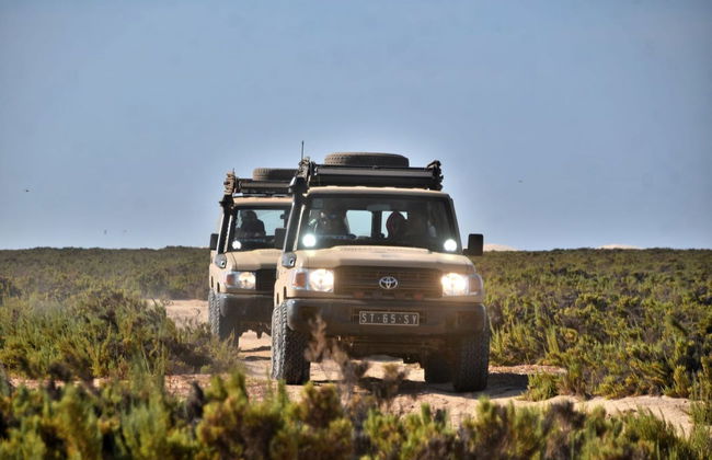 Tour en 4x4 por la isla de Boa Vista - Foto 7