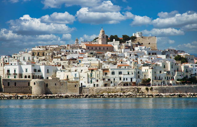 Noleggio di barca con skipper a Vieste - Foto 2