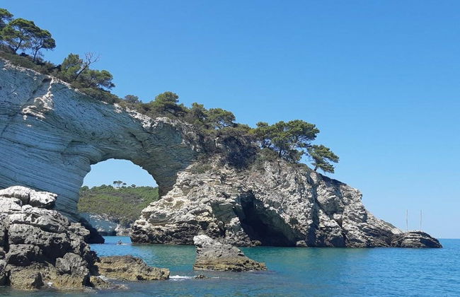Boat Rental with Skipper in Vieste - Photo 2