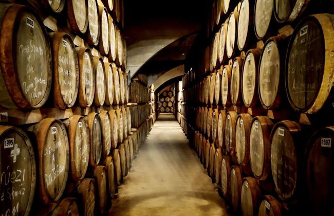 Elqui Valley Pisco Tour - Photo 3
