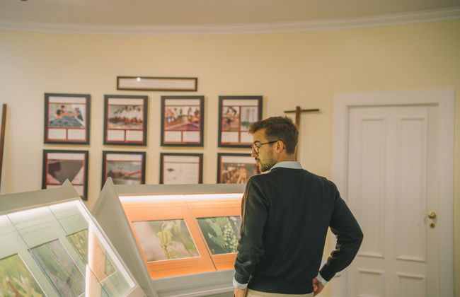 Visita a la bodega Taylor's - Foto 5