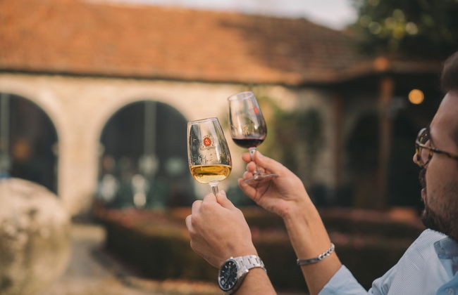 Visita a la bodega Taylor's - Foto 4