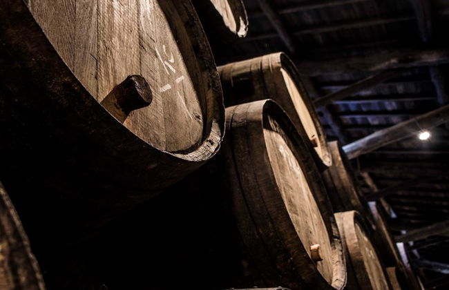 Visita a la bodega Taylor's - Foto 3