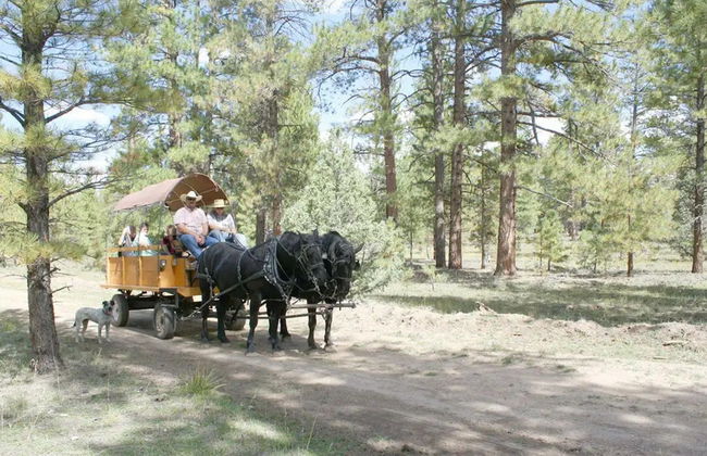 Paseo en carruaje por el Cañón Bryce - Foto 4