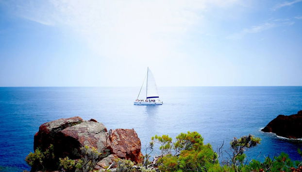 Excursión a Cala Blanca en catamarán - Foto 2
