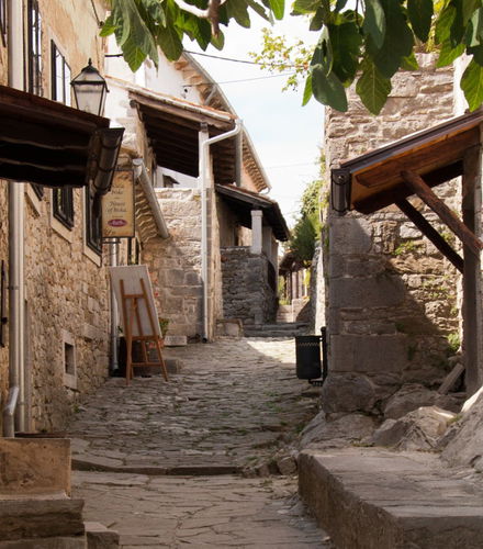 Foto de Tour gastronómico por Istria