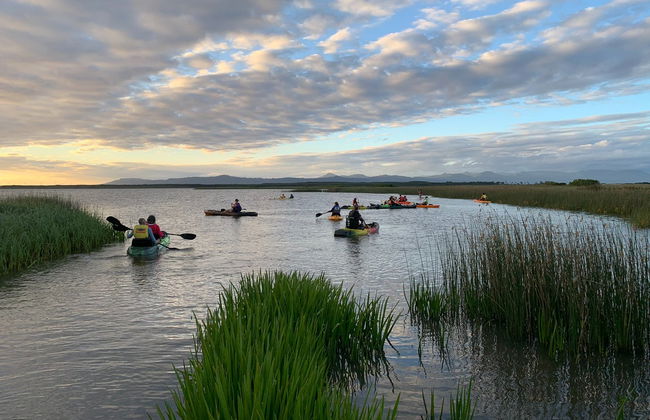 Tour delle paludi di Imbé in kayak - Foto 4