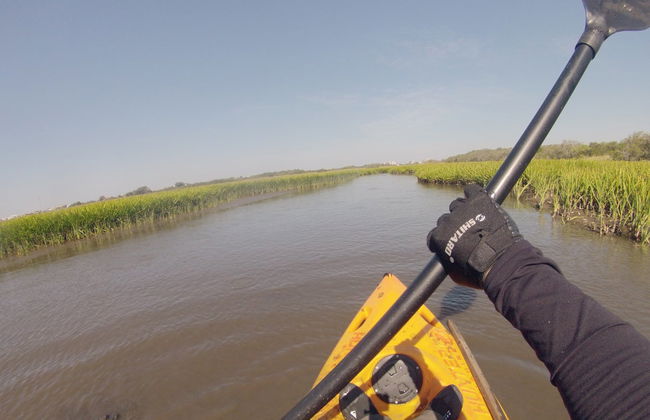 Tour delle paludi di Imbé in kayak - Foto 6