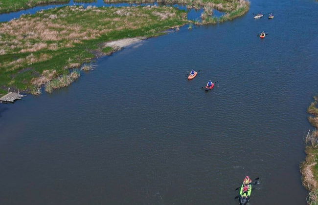 Tour delle paludi di Imbé in kayak - Foto 7