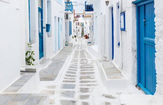 Momenti salienti di Mykonos - Tour privato di mezza giornata con trasferimenti - Foto 5
