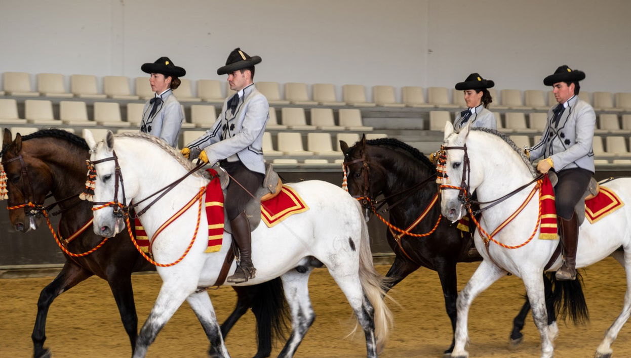 Spectacle équestre à Carmona - Photo 1