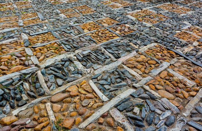 Excursion au sanctuaire d'Atotonilco - Photo 6