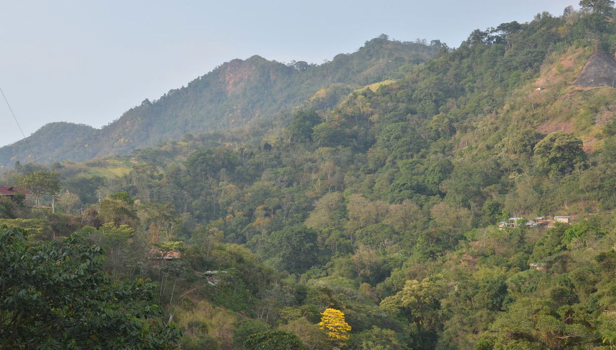Playa Grande, Pozo Azul de Minca and Taganga Day Trip - Foto 1