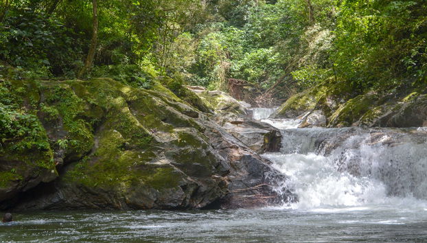 Excursão a Playa Grande, Pozo Azul de Minca e Taganga - Foto 4