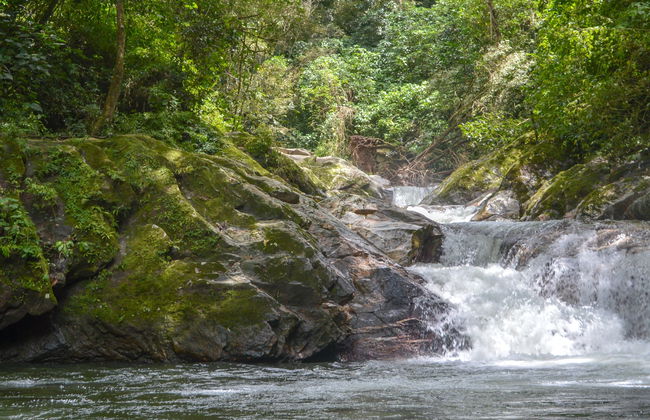 Excursión a Playa Grande, Pozo Azul de Minca y Taganga - Foto 4