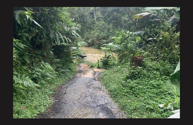 Excursión a Guavate - Foto 5