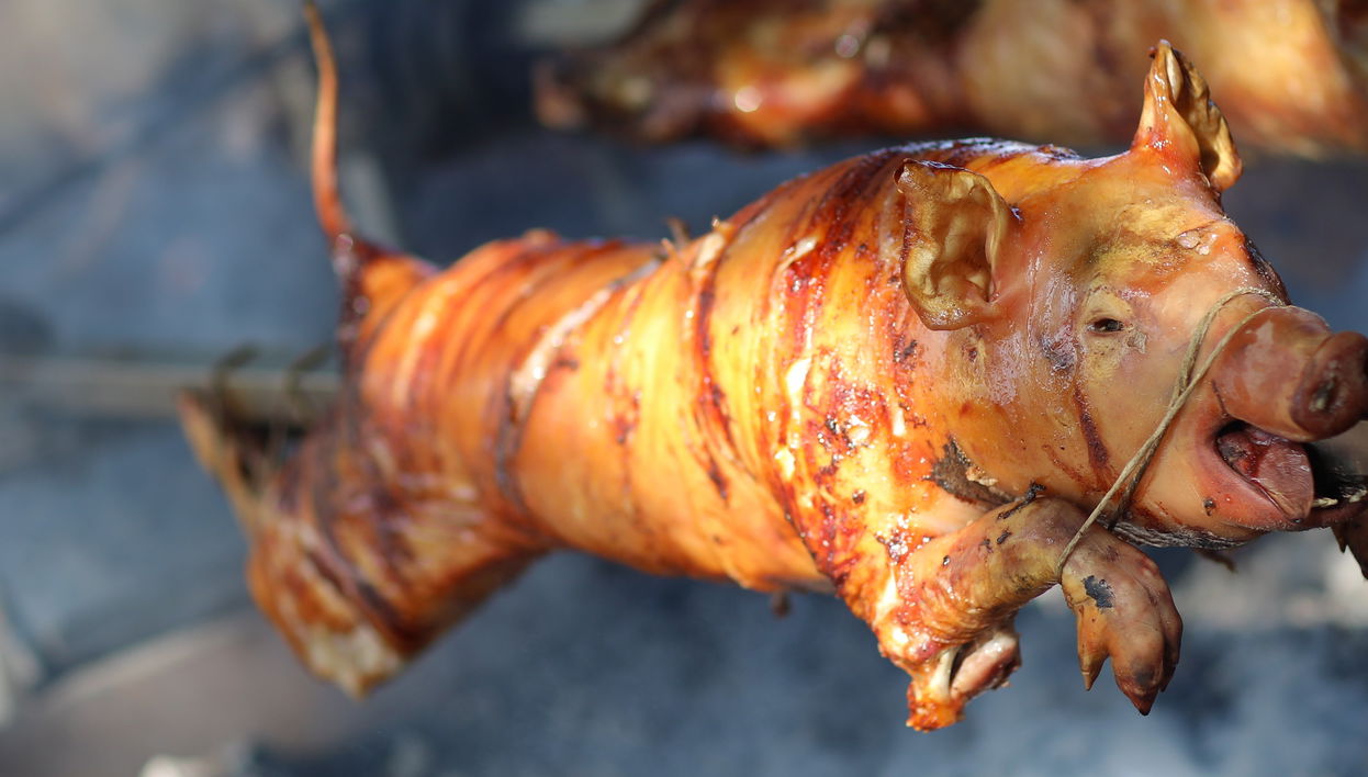 Excursión a Guavate