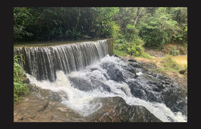 Excursión a Guavate - Foto 2