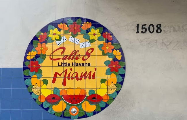 Tour del arte urbano por Little Havana - Foto 3