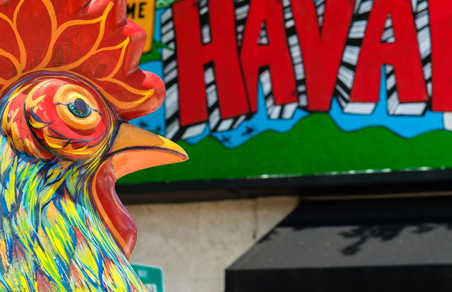 Tour del arte urbano por Little Havana - Foto 5