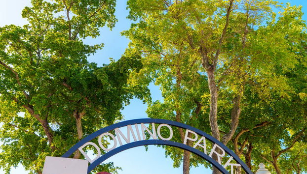 Tour del arte urbano por Little Havana - Foto 5