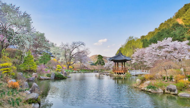 Pocheon Day Trip - Foto 4