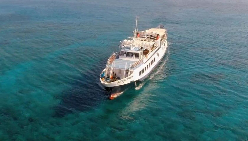 Escursione all'isola di Chrissi - Foto 1
