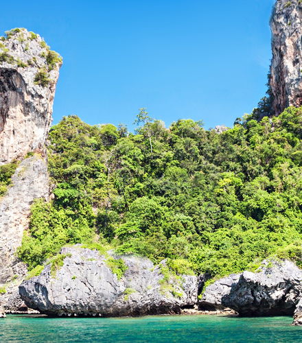 Foto de Excursión a las islas de Krabi + Snorkel