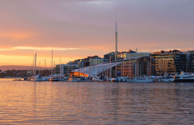 Giro in barca elettrica al fiordo di Oslo - Foto 4