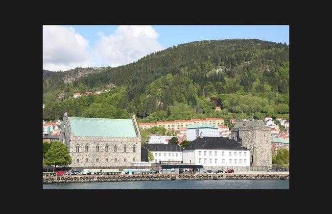 Paseo en barco por Bergen - Foto 7