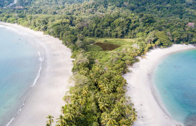 Manuel Antonio National Park Tour - Foto 1