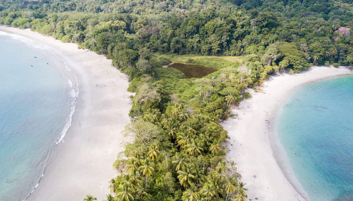 Manuel Antonio National Park Tour - Foto 1