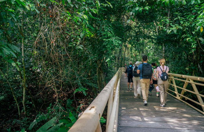Excursión al Parque Nacional Manuel Antonio - Foto 7