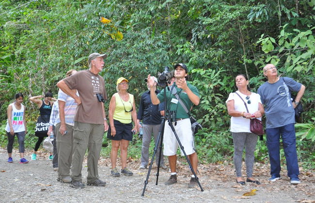 Excursion au Parc National Manuel Antonio - Photo 3