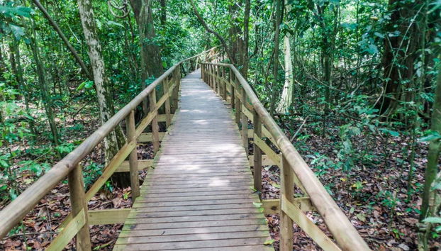 Manuel Antonio National Park Tour - Foto 2