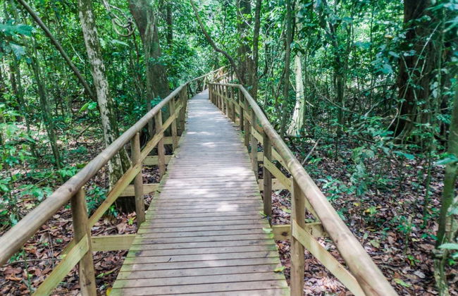 Manuel Antonio National Park Tour - Foto 2