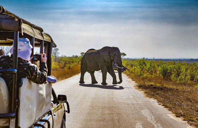 Safari de 5 jours dans le parc national Kruger - Photo 1