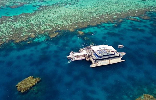 Crociera Quicksilver sulla Grande Barriera Corallina esterna dal porto turistico di Port Douglas - Foto 1